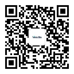 微信公众号 WeChat Official Account